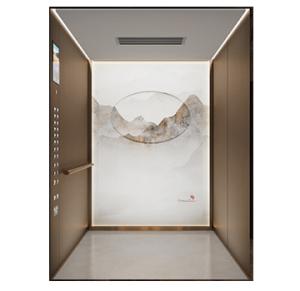 Large Loading Passenger Elevator Traction Machine Driven Office Building Passenger Elevator Lift