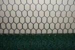 25M Plastic Coated Chicken Wire Netting 0.8mm hexagonal poultry netting