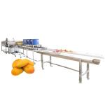 Continuous Food Drying Machine Fruit Bubble Washing Processing Line