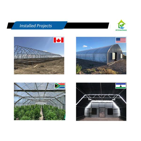 Multispan 28m-50m Length Light Deprivation Greenhouse With Blackout System