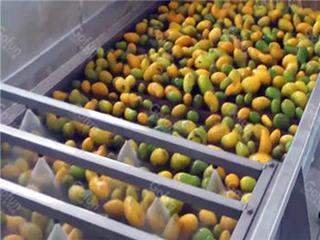 440V Industrial Mango Juice Processing Line mango pulp machine