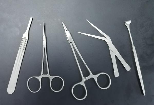 Quality Titanium Needle Holder Forceps Parts , SUS304 Surgical Instruments Components for sale