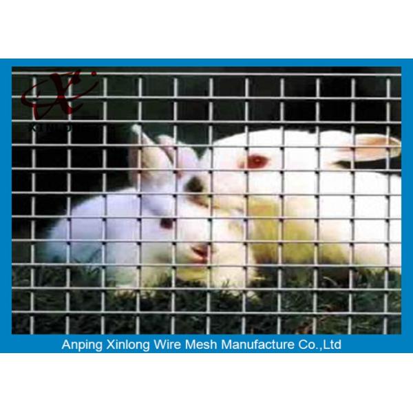 Galvanized / PVC Coated Welded Wire Mesh Fence For Animal Cages Various Length