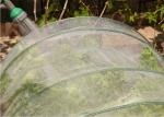 Garden Insect Mesh Netting 20 Mesh Count Polyethylene Agricultural Netting