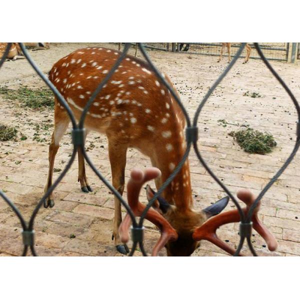 Professional Custom Zoo Wire Mesh Ferrule Type Animal Enclosure Mesh