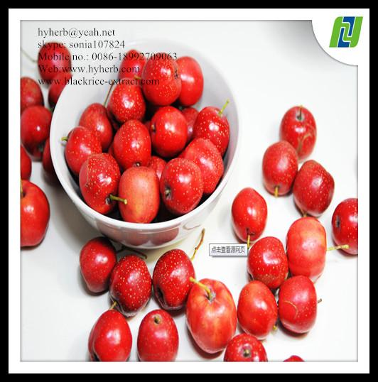 Quality hawthorn leaf extract powder 90% for sale
