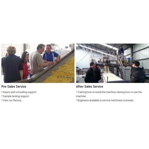 High Capacity Dog Biscuit Making Machine , Dry Pellet Dog Food Equipment