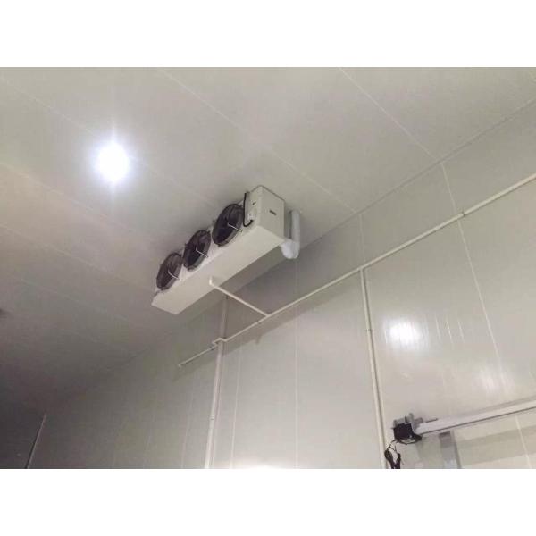 Customized Size Cold Freezer Room 220V/380V Voltage For Meat ISO Approval