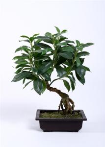 Buy cheap Premium Artificial Bonsai Tree , Artificial Decorative Trees Podocarpus Macrophyllus product