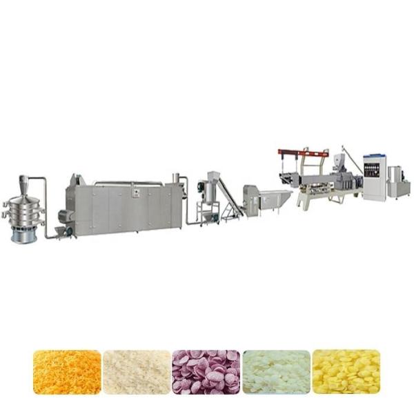 Quality Double Screw Extrude Bread Crumb Production Line Automatic for sale