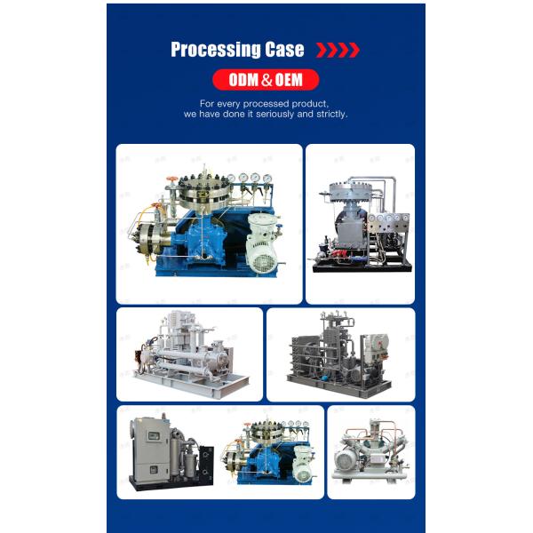 Diaphragm Compressor Gas Air Compressors Hydrogen High Pressure High Purity Explosive Proof Hydrogen Refueling Station