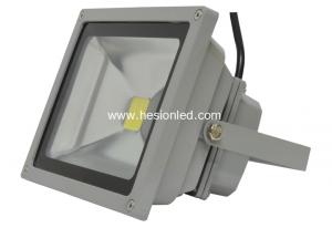 China 20w Energy Saving Projecting Lampportable led flood light on sale