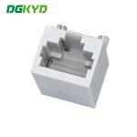 DGKYD111B002IWC4D single port RJ45 connector, 100Mbps, integrated filtering,