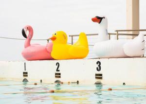 China Giant Inflatable Water Toys Float Swan Inflatable Flamingo For Pool on sale