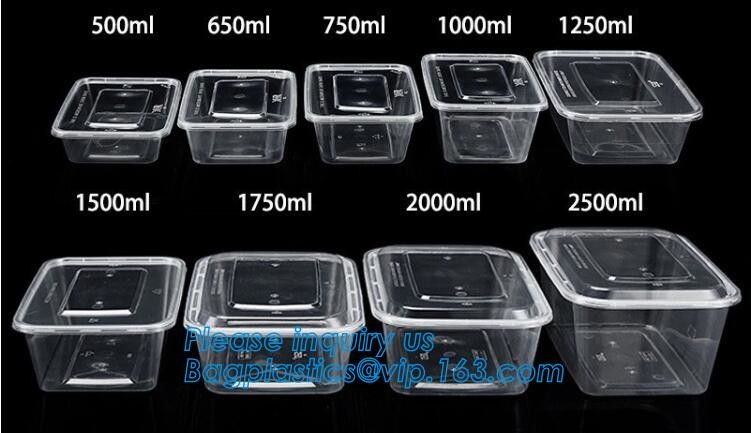 Blister large clear plastic fruit container with lid for fruit packaging,blister fruit box /container/ fruit Tray/ Clear