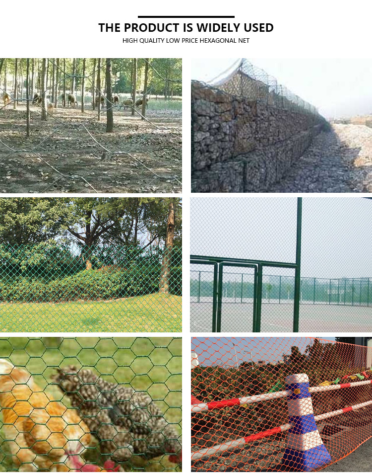 Chicken Protecting Galvanized Hexagonal Wire Mesh Durable Construction