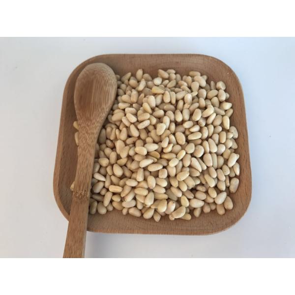 Organic Pine Raw Sprouted Nuts No Food Color Handpicked Material With OEM Service