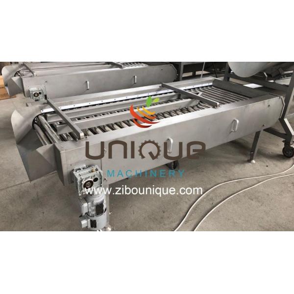 Stainless Steel 304 Automatic Ginger Washer and Cassava Cleaning Machine Year 2021