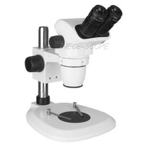 Buy cheap Binocular Compound Diopter Adjustment Microscope For Botany Research product