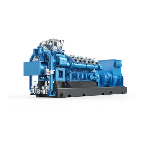 Quality 50Hz Biogas Electricity Generator 400V With Digital Control Panel for sale