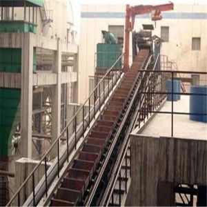 Continuous Central Chain Bucket Elevator High Incline Angles