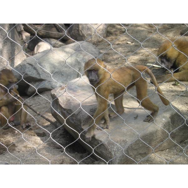 316 Stainless Steel Flexible Cable Mesh Netting for Bird Aviary