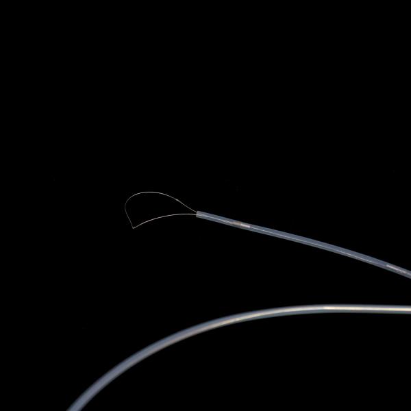 Quality Endoscopic Forceps For Foreign Body Removal With Smooth & Straight Outer Tube for sale