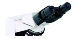 Green Filter Laboratory Achromatic Objective Microscope Quadruple Nosepiece