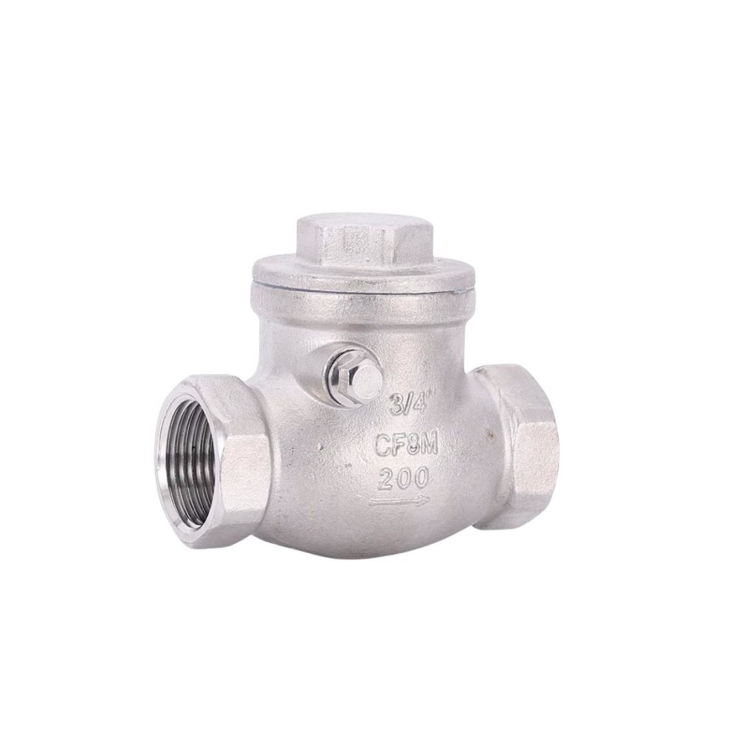 200psi/Pn16 NPT/BSPP/BSPT Screwed Stainless Steel Swing Check Valve