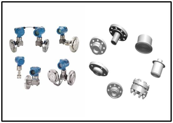 Quality Direct / Remote Mount Seal Rosemount Level Transmitter 1199 DP Seal System for sale