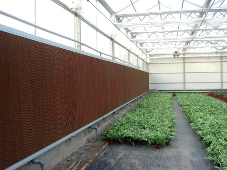 Outdoor New Material Cooling System for Chicken House High Absorbablity Evaporative Cooling Pads