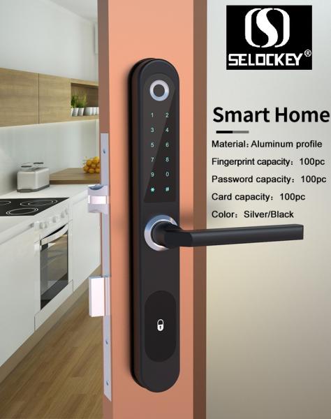 Quality Password RF Card E6900W Aluminum Door Bluetooth Gate Locks for sale