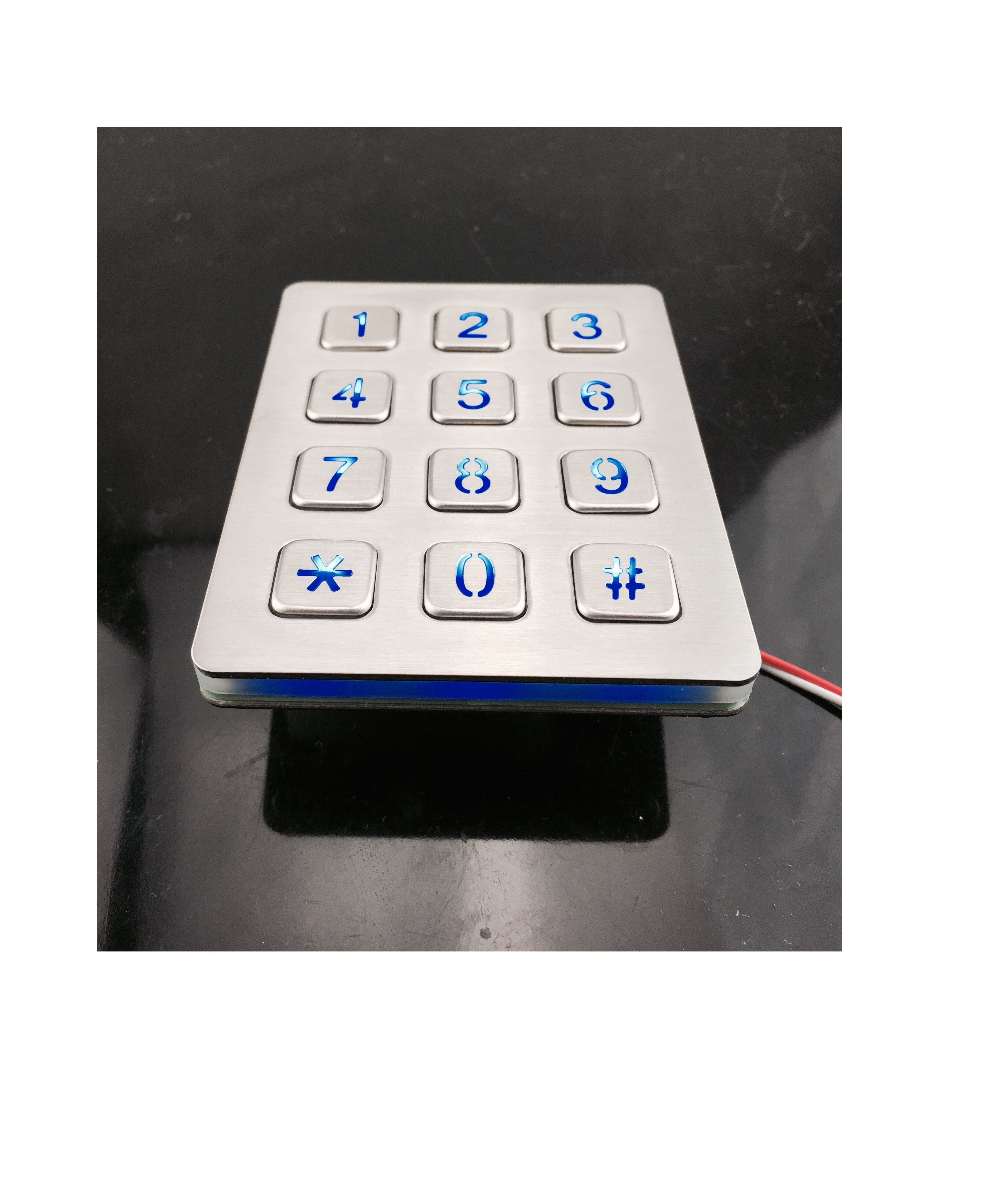 Panel mounted digital keypad for telephone entry system