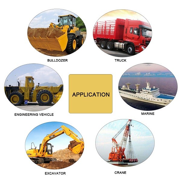 Genuine Cummins M11 QSM11 ISM11 CM876 Excavator Diesel Engine Piston Kit 3103753