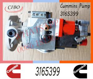 China Diesel Injection For Cummins NT855 Fuel Pump 3165399 3074672 3074835 3074843 on sale