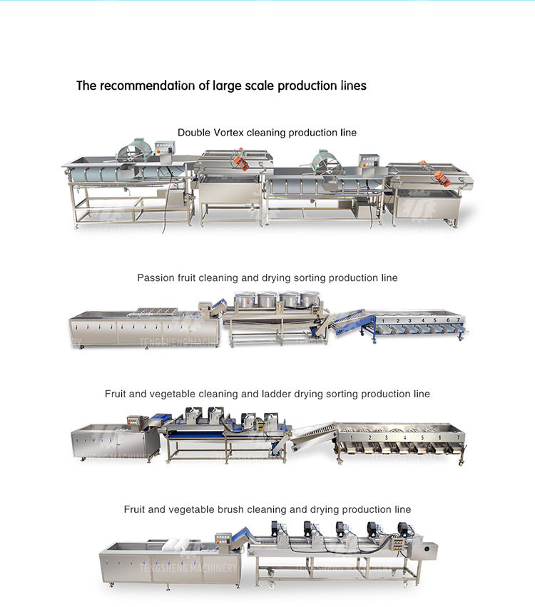 Ginger Pineapple Dual Feeding Inlet Vegetable Processing Machine Connectable SS