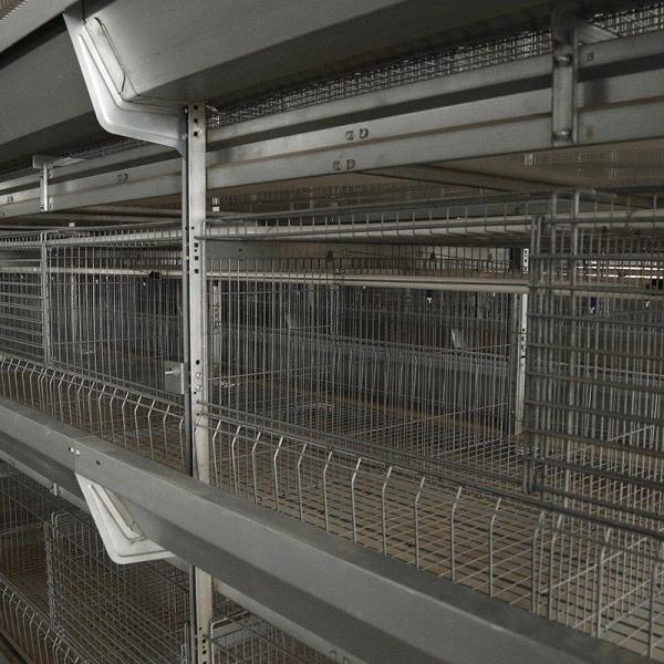 Quality CE Livestock 50000 Birds Automatic Layer Poultry Equipment Trolley Feeding for sale