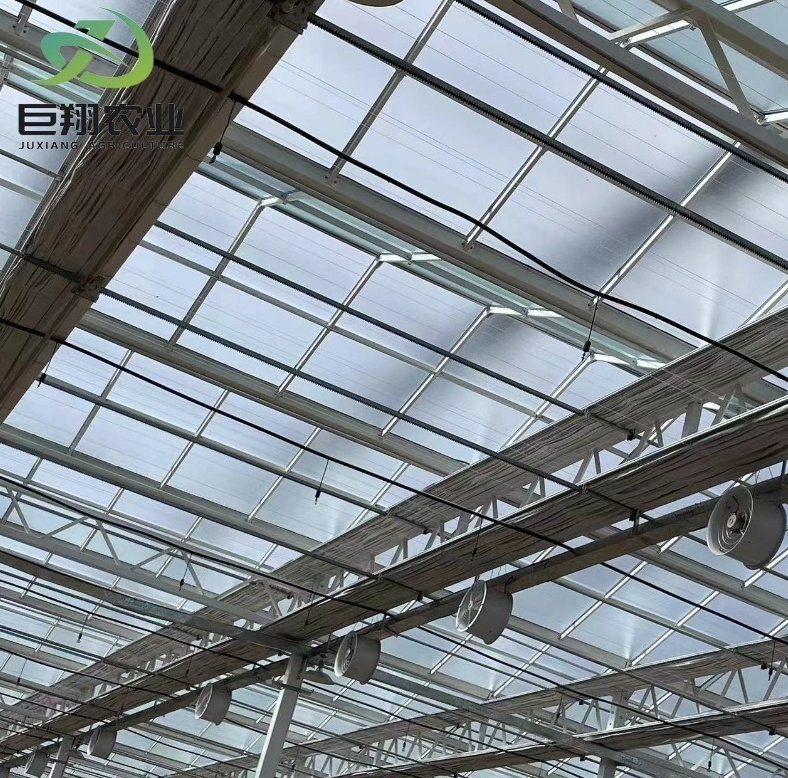 Shipping Container Leafy Vegetable Greenhouse