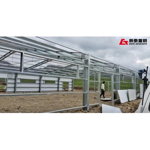 Prefab Customized Steel Structure Poultry House For Efficient / Hygienic Bird Rearing