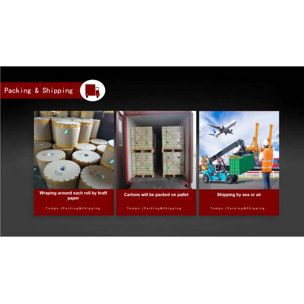 Customized Printing CPP Material Silver Metalized Film for Food Packaging