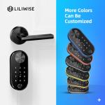 European Standard Code Door Lock Split Biometric Fingerprint Wireless Modern