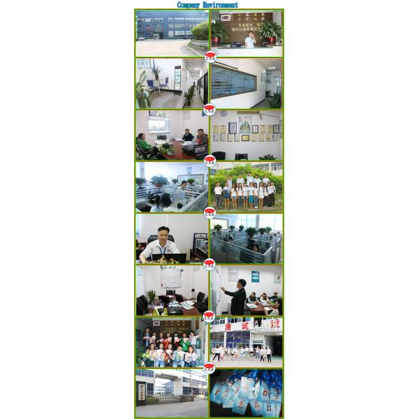 Electronic Lab Test Equipment / Carton Box Compression Tester