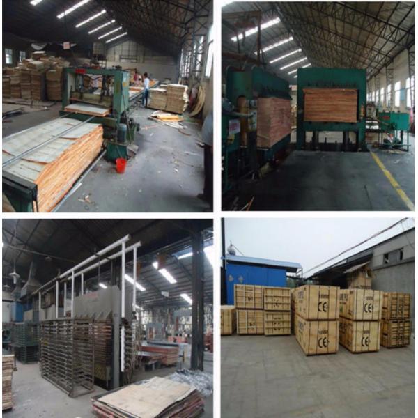 1220*2440mm Melamine Faced Plywood