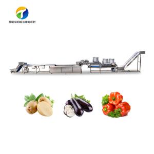 Buy cheap 1500KG/H Fruit And Vegetable Processing Line cleaning Sorting Machine product