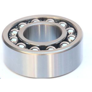 Precision Double Row Self Aligning Ball Bearing 1313 Customizable
