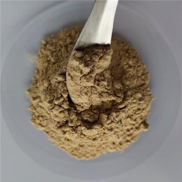 Quality Anti-bacterial Peppermint Extract Halal In Bulk Stock for sale