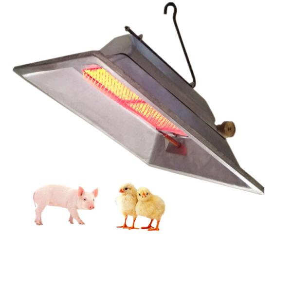 Quality Energy Saving Gas Brooder Heater High Efficiency 2.46 KW/h For Chicks Piglet for sale