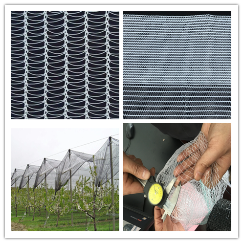 SRCP Raschel Warp Knitting Machine for Anti-Insect Nets