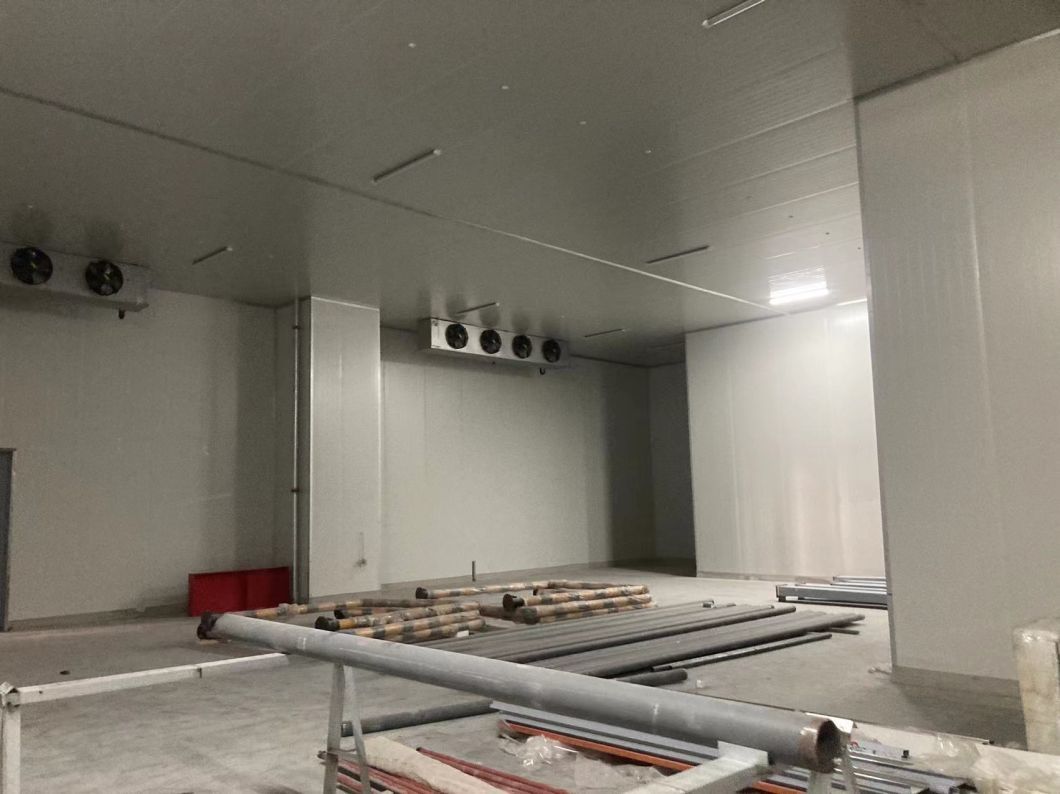Professional Manufacturer Container Cold Room Cold Storage for Frozen Food Meat