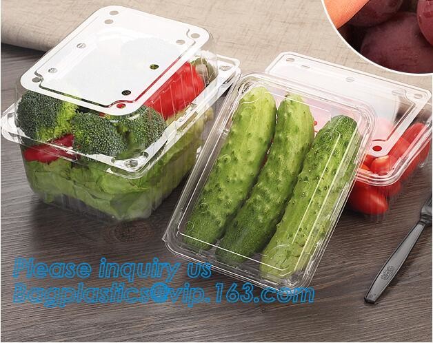 Blister large clear plastic fruit container with lid for fruit packaging,blister fruit box /container/ fruit Tray/ Clear